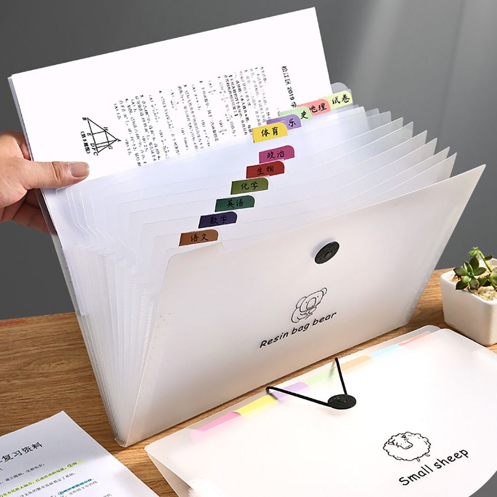 Kartun tahan air A4 File Folde - Document Organizer Folder ulasan dan harga